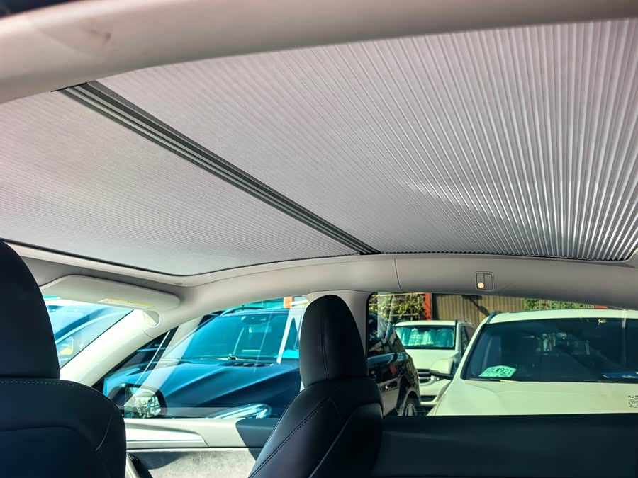 Model Y 2023 Long Range AWD - zdjęcie 5