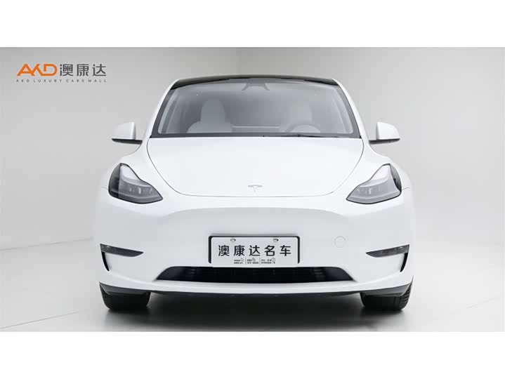 Model Y 2024 Long Range All-Wheel Drive Version - zdjęcie 12