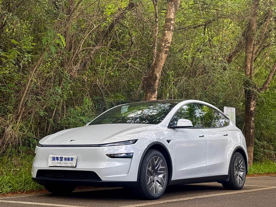 Model Y L 2025 Long Range All-Wheel Drive Version - zdjęcie 1