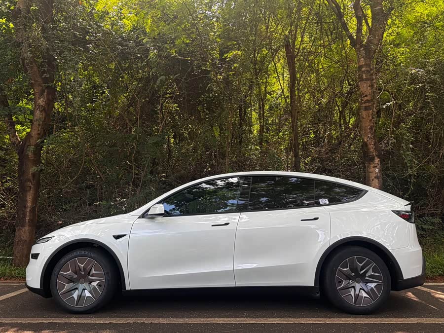 Model Y L 2025 Long Range All-Wheel Drive Version - zdjęcie 2