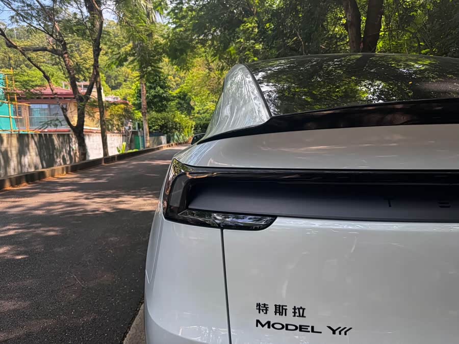 Model Y L 2025 Long Range All-Wheel Drive Version - zdjęcie 14