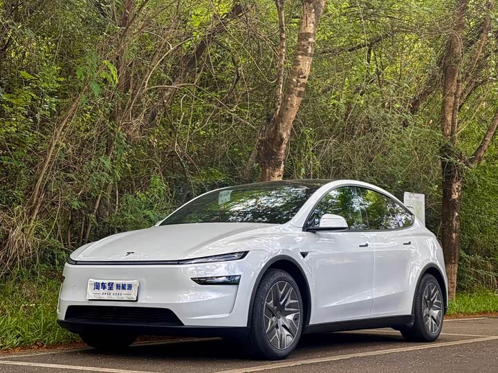 Model Y L 2025 Long Range All-Wheel Drive Version - zdjęcie 18