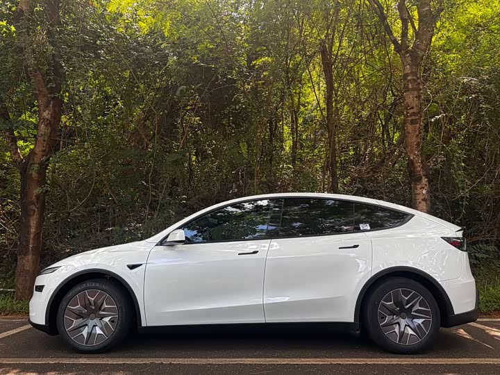 Model Y L 2025 Long Range All-Wheel Drive Version - zdjęcie 19