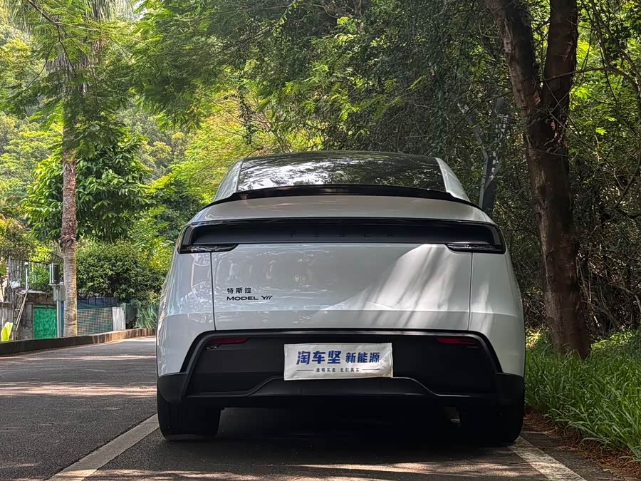 Model Y L 2025 Long Range All-Wheel Drive Version - zdjęcie 5