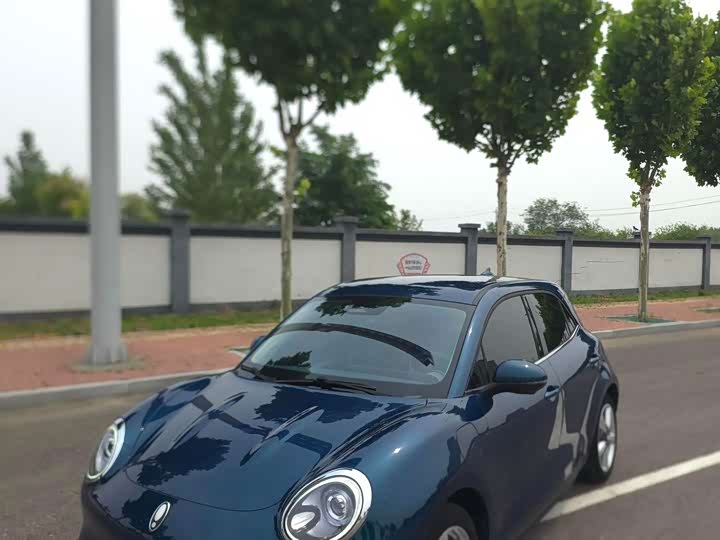 Ora Good Cat 2023 401km Standard Range Luxury - zdjęcie 11