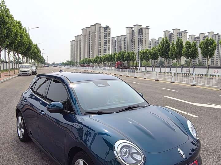 Ora Good Cat 2023 401km Standard Range Luxury - zdjęcie 16