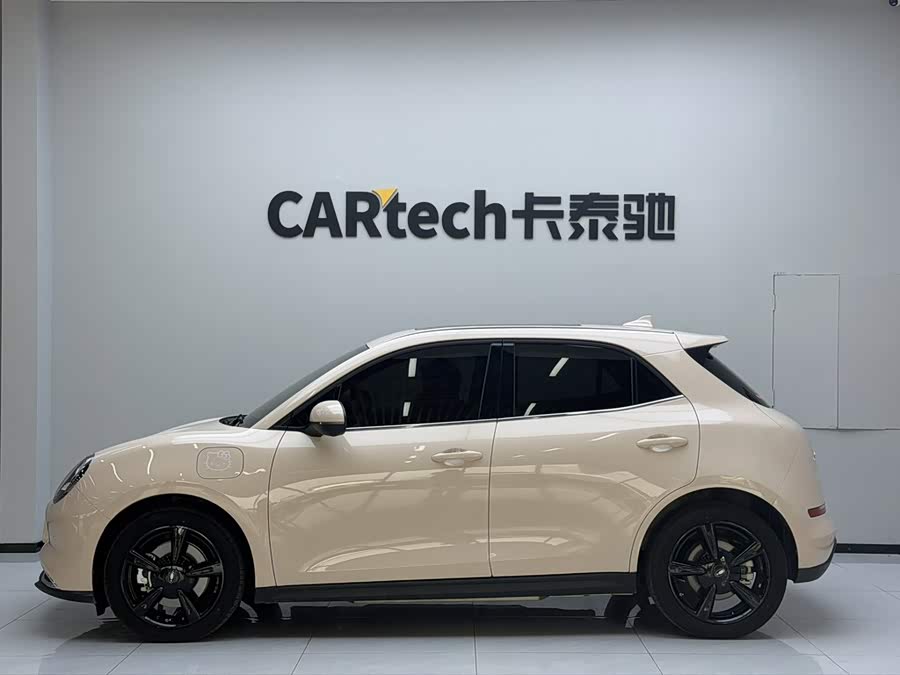 Ora Good Cat 2024 401km Luxury - zdjęcie 2
