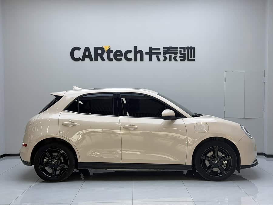 Ora Good Cat 2024 401km Luxury - zdjęcie 12
