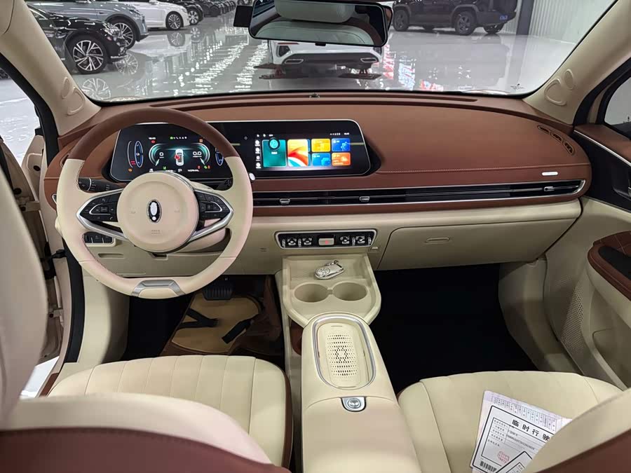 Ora Good Cat 2024 401km Luxury - zdjęcie 14