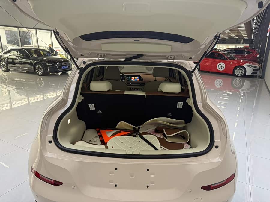 Ora Good Cat 2024 401km Luxury - zdjęcie 15