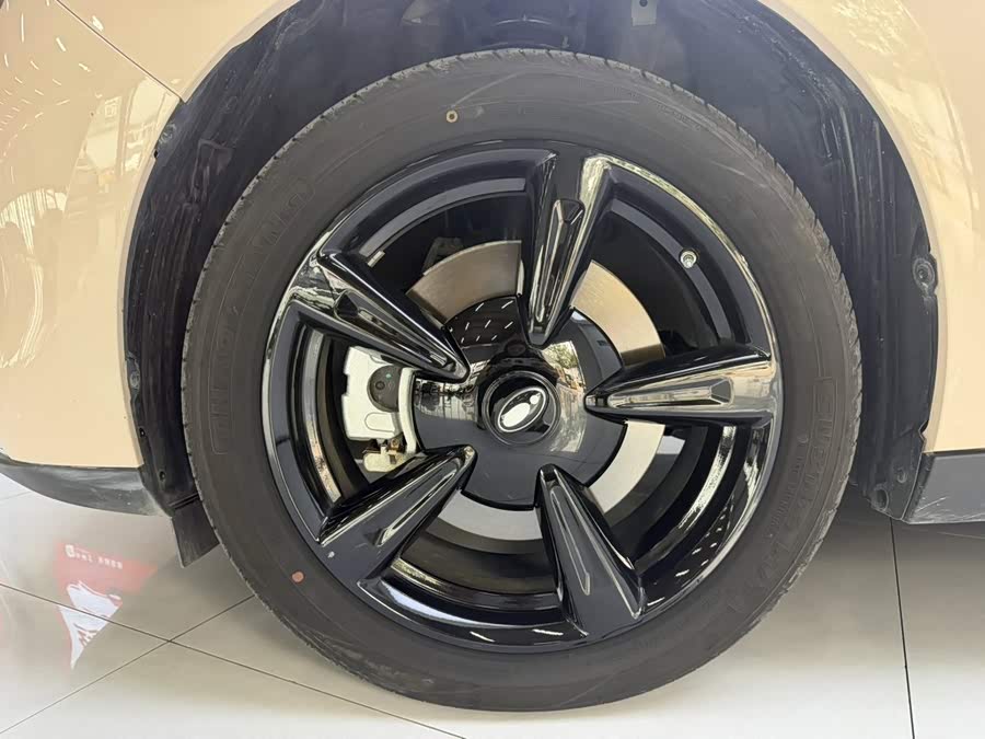 Ora Good Cat 2024 401km Luxury - zdjęcie 17