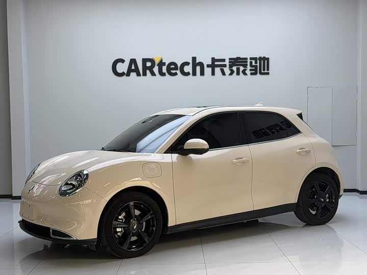 Ora Good Cat 2024 401km Luxury - zdjęcie 19