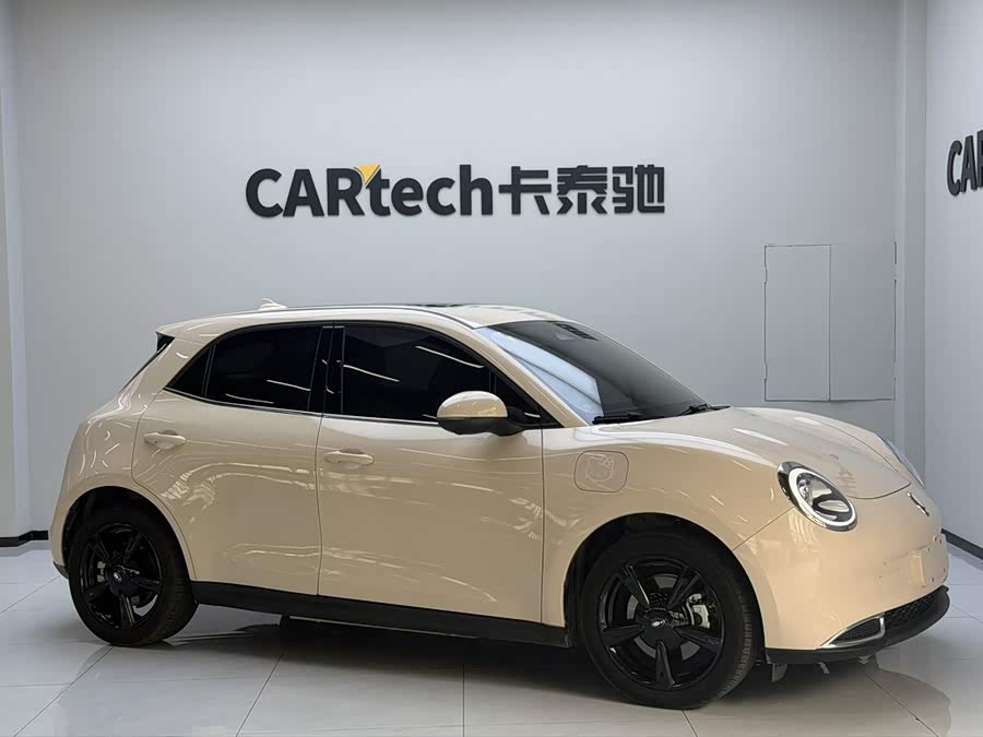 Ora Good Cat 2024 401km Luxury - zdjęcie 3
