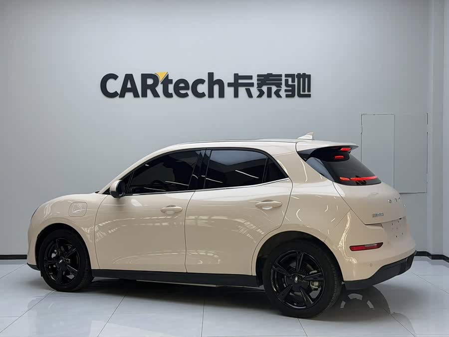 Ora Good Cat 2024 401km Luxury - zdjęcie 5