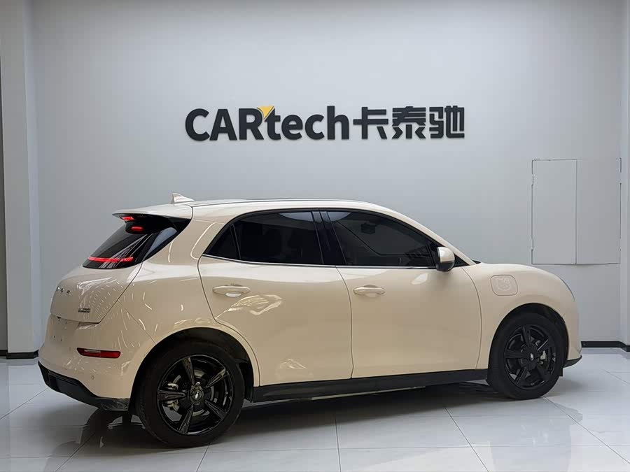 Ora Good Cat 2024 401km Luxury - zdjęcie 7