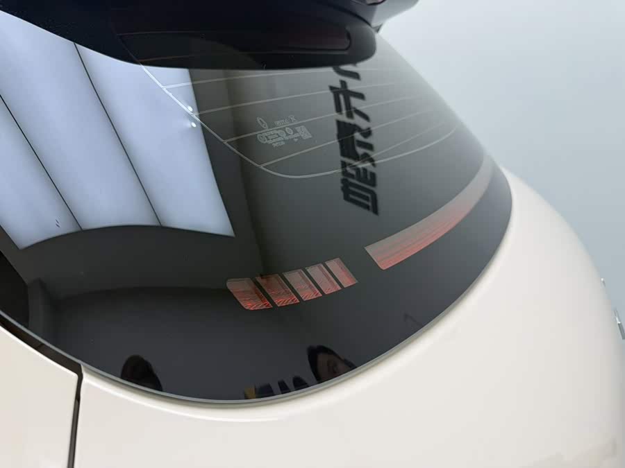 Ora Good Cat 2024 401km Luxury - zdjęcie 9
