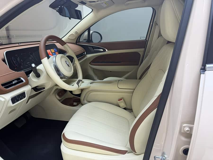 Ora Good Cat 2024 401km Luxury - zdjęcie 10