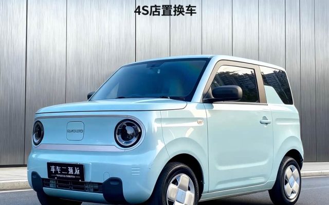 Panda 2023 Panda Mini 200km Endurance Bear