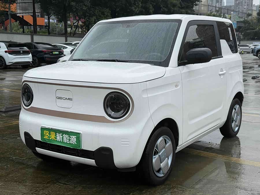 Panda Mini 200km Longteng - zdjęcie 1