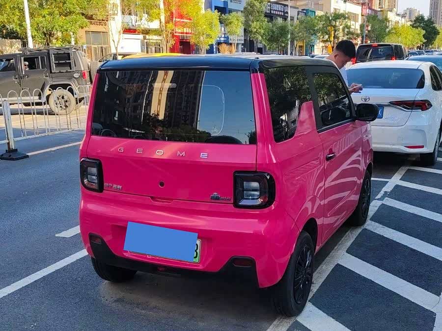 Panda Mini 200km Longteng - zdjęcie 13