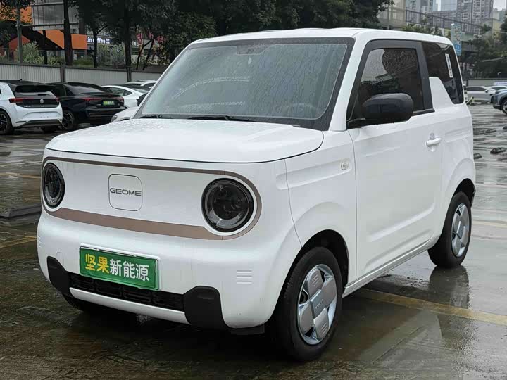 Panda Mini 200km Longteng - zdjęcie 15
