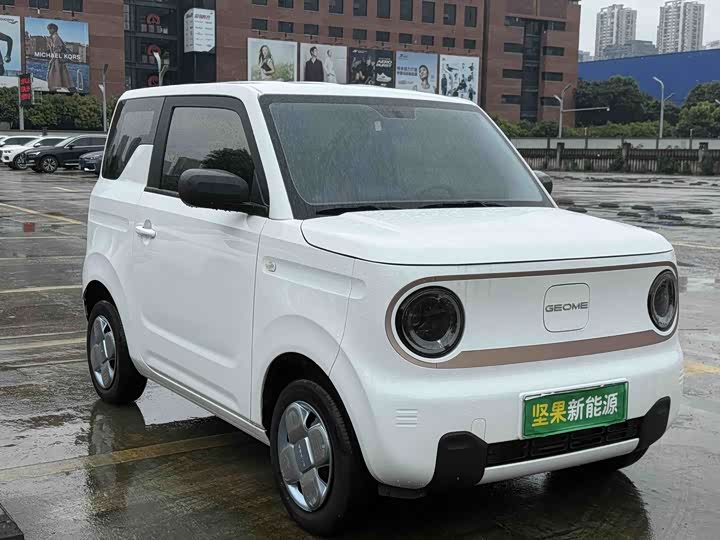 Panda Mini 200km Longteng - zdjęcie 16