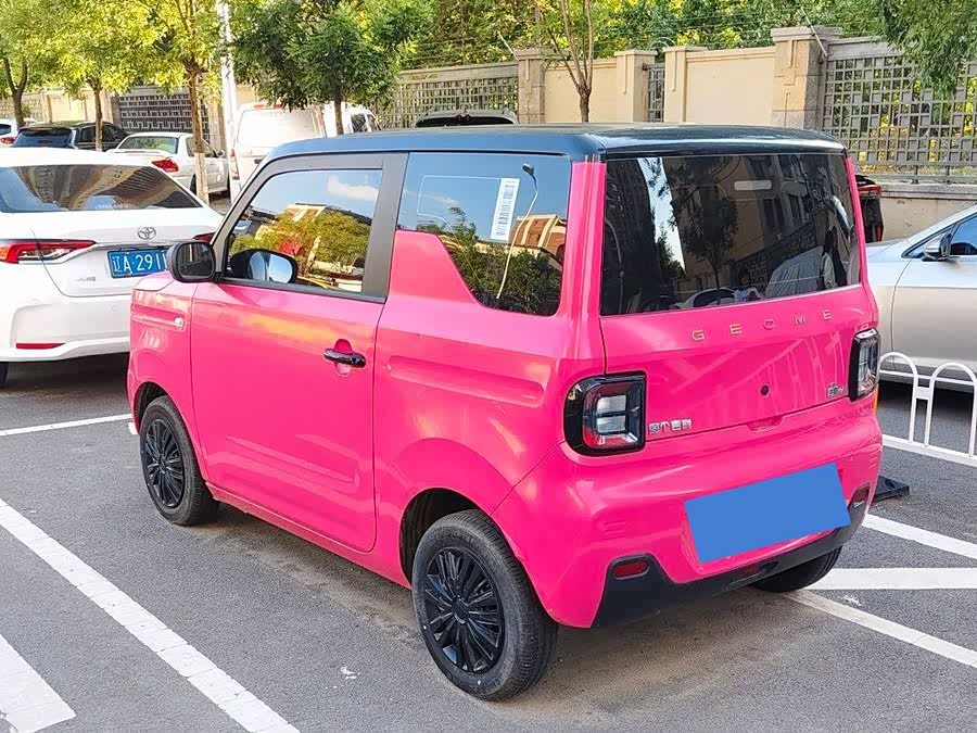 Panda Mini 200km Longteng - zdjęcie 16