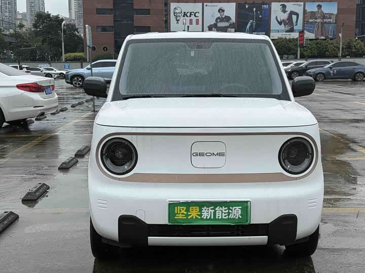Panda Mini 200km Longteng - zdjęcie 17