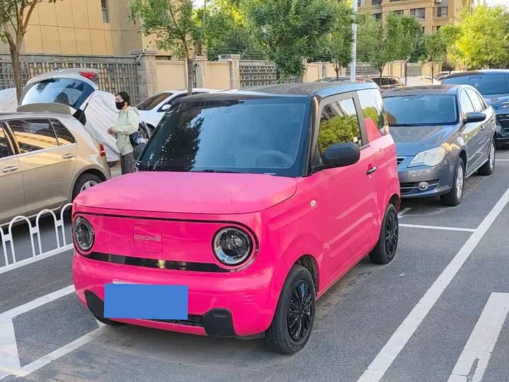 Panda Mini 200km Longteng - zdjęcie 17