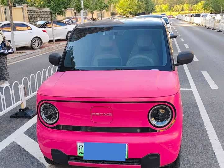 Panda Mini 200km Longteng - zdjęcie 18