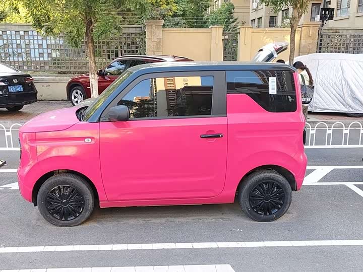 Panda Mini 200km Longteng - zdjęcie 19