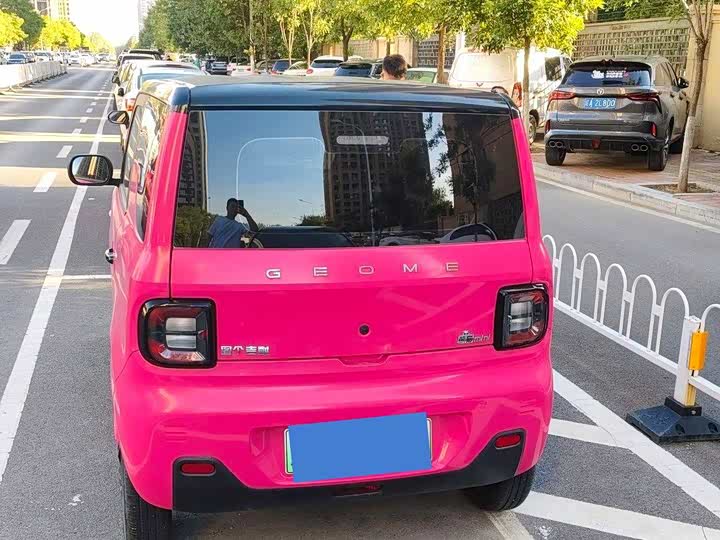 Panda Mini 200km Longteng - zdjęcie 20