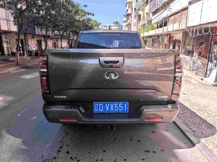 Pao 2021 2.0T Passenger Global Edition Auto Diesel 4WD Comfort - zdjęcie 14