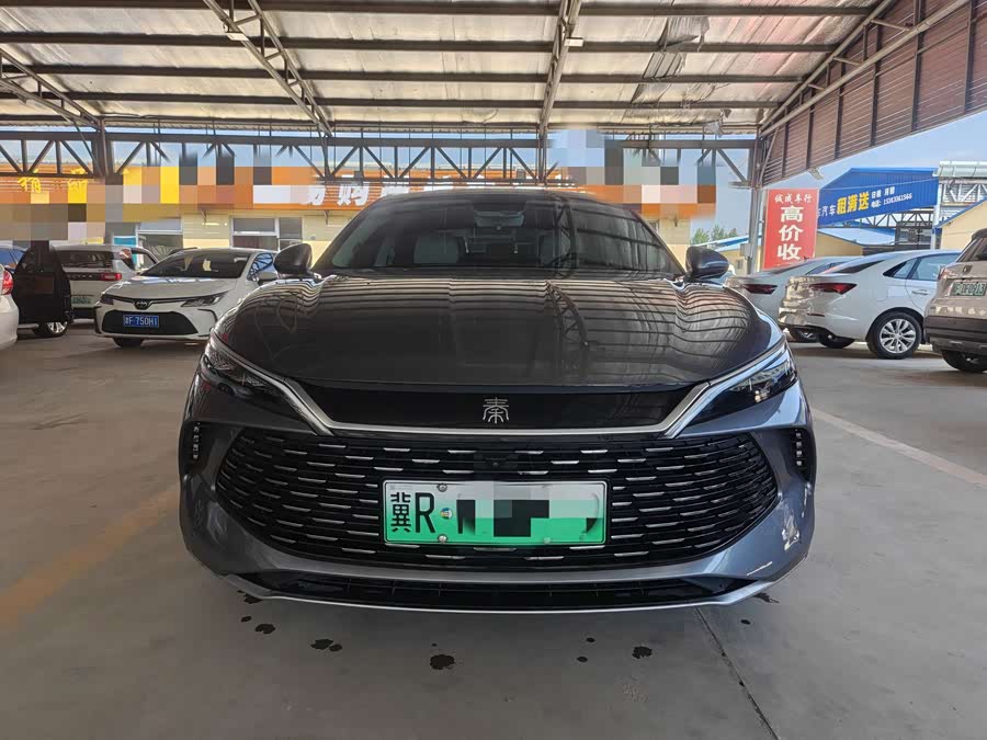 Qin L 2024 DM-i 80KM Super - zdjęcie 2