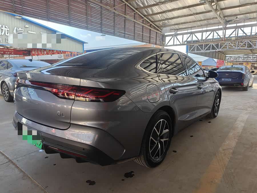 Qin L 2024 DM-i 80KM Super - zdjęcie 6
