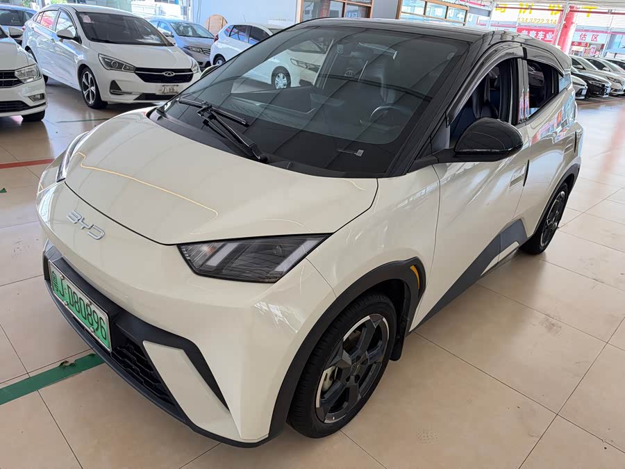 Seagull 2023 Vitality Edition - zdjęcie 1