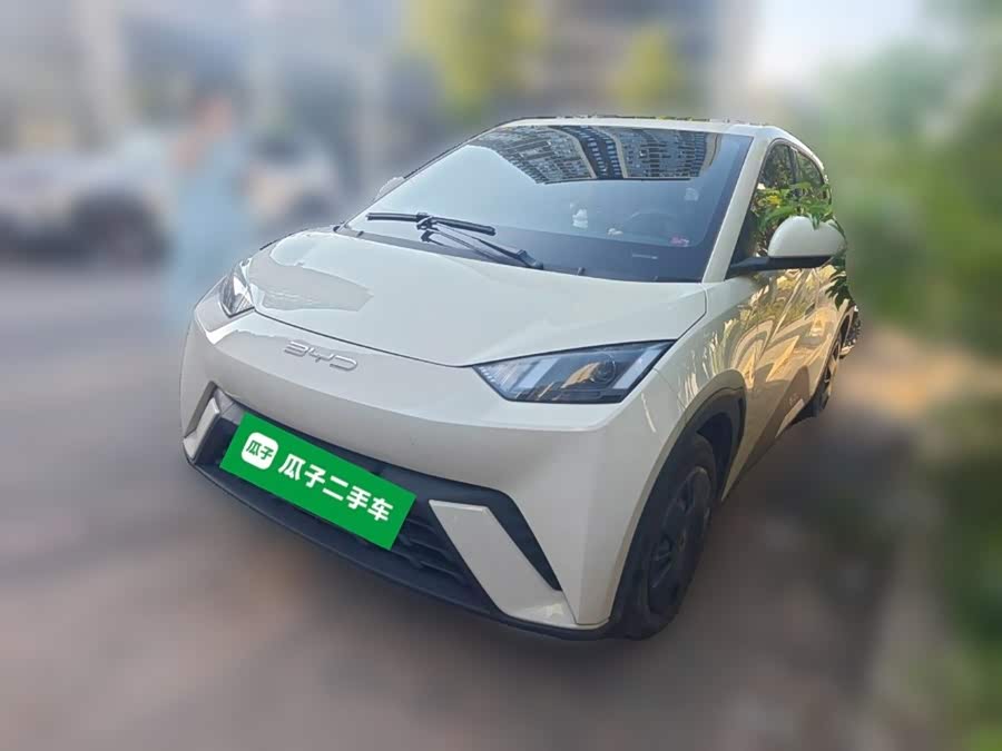 Seagull 2023 Vitality Edition - zdjęcie 1
