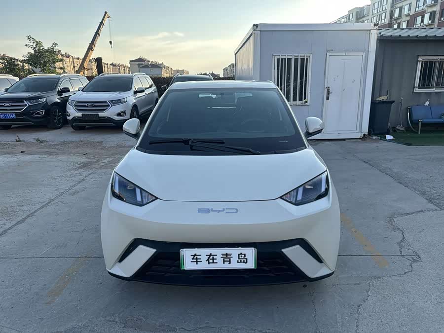 Seagull 2023 Vitality Edition - zdjęcie 2
