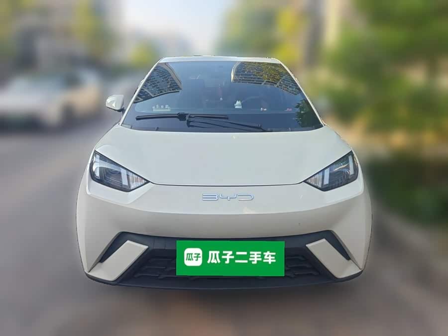 Seagull 2023 Vitality Edition - zdjęcie 2