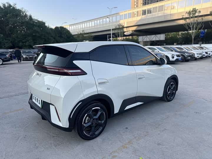 Seagull 2023 Vitality Edition - zdjęcie 17