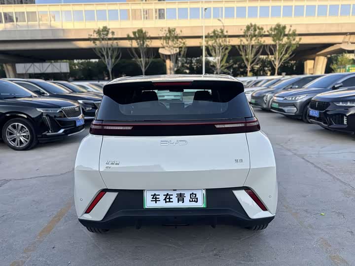 Seagull 2023 Vitality Edition - zdjęcie 18