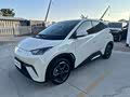 Seagull 2023 Vitality Edition - zdjęcie 19