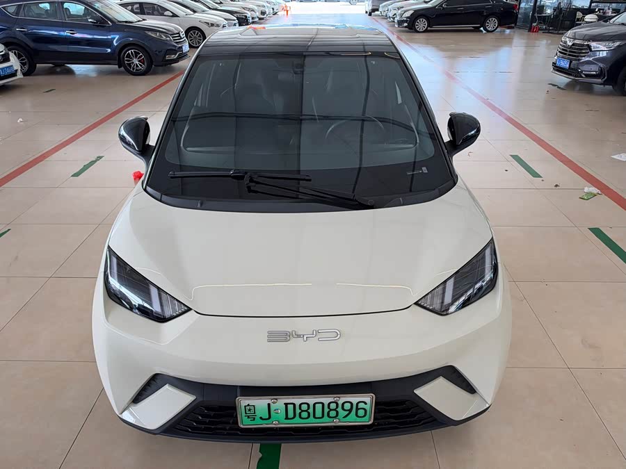 Seagull 2023 Vitality Edition - zdjęcie 3