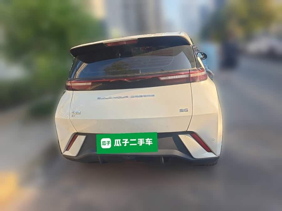 Seagull 2023 Vitality Edition - zdjęcie 3