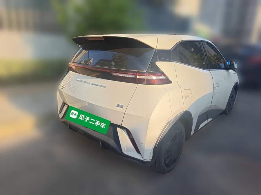 Seagull 2023 Vitality Edition - zdjęcie 4