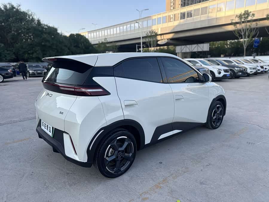 Seagull 2023 Vitality Edition - zdjęcie 8