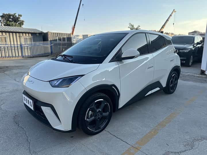 Seagull 2023 Vitality Edition - zdjęcie 10