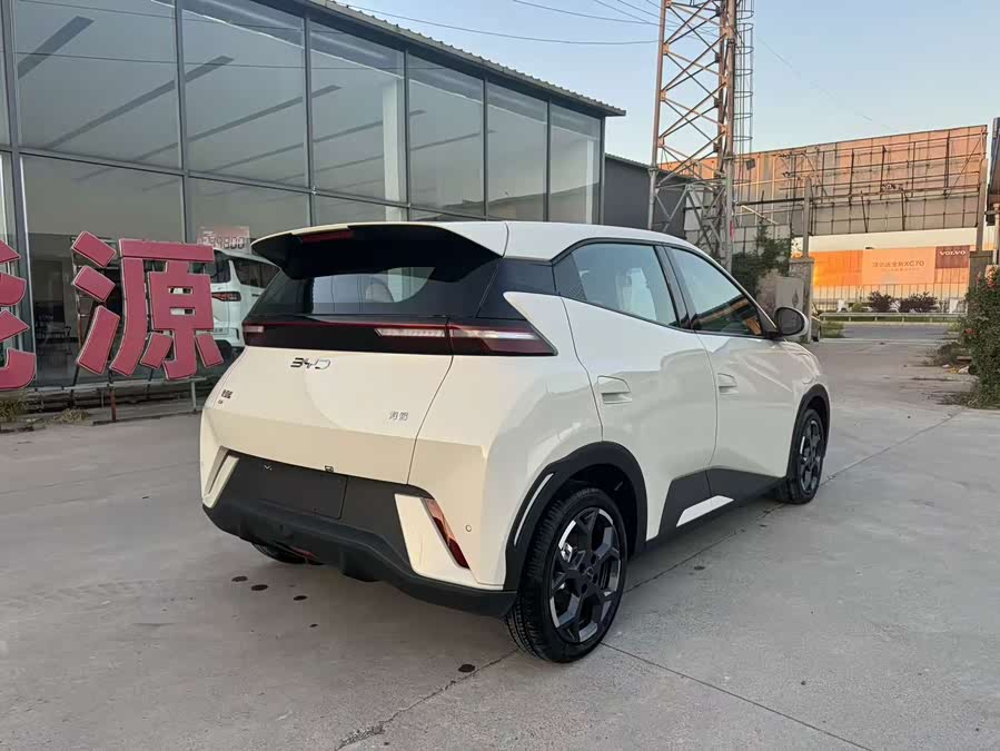 Seagull 2024 Glory Edition 305km Freedom - zdjęcie 11