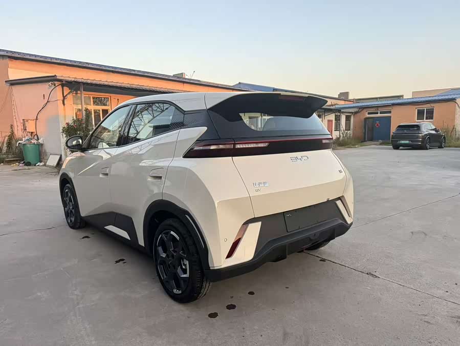 Seagull 2024 Glory Edition 305km Freedom - zdjęcie 12