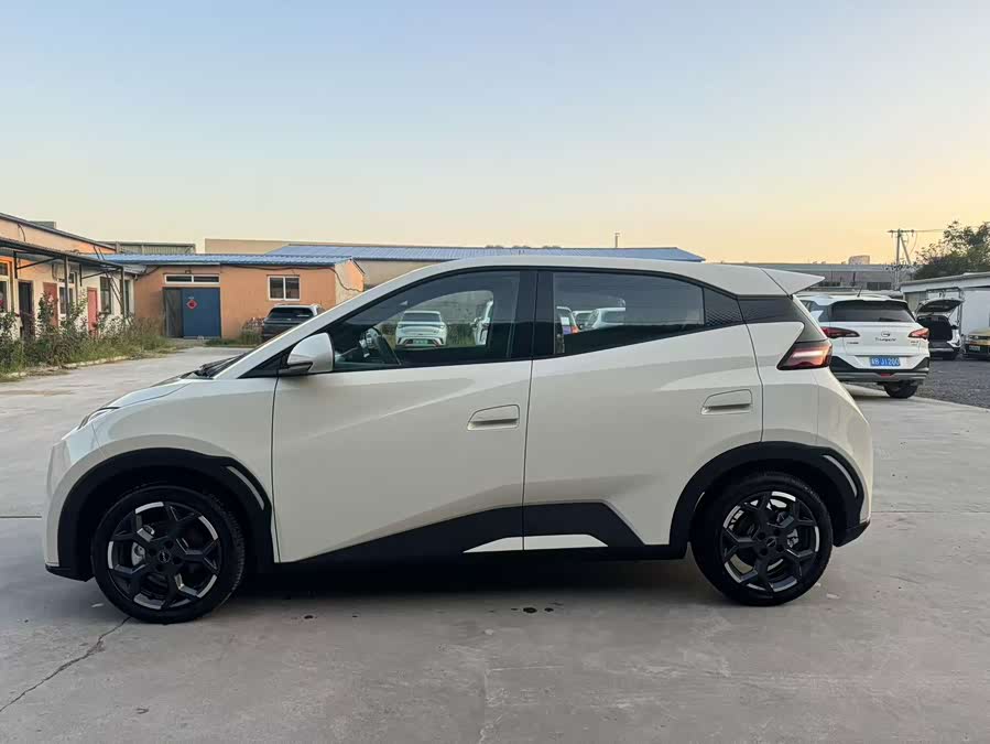 Seagull 2024 Glory Edition 305km Freedom - zdjęcie 4